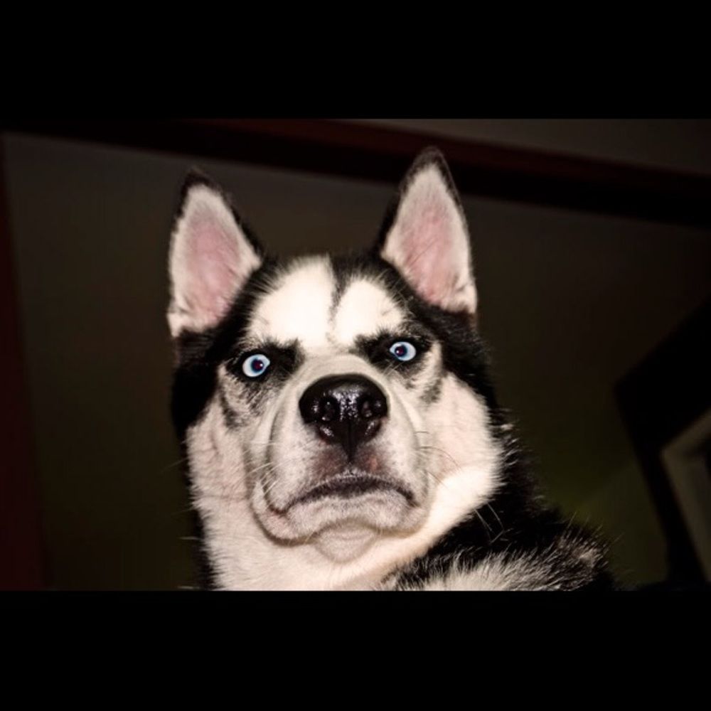 Meet your Posher, Jc